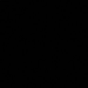 Meet your Posher, Jaime